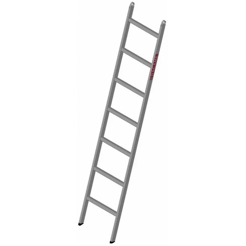 Echelle d'accès F45